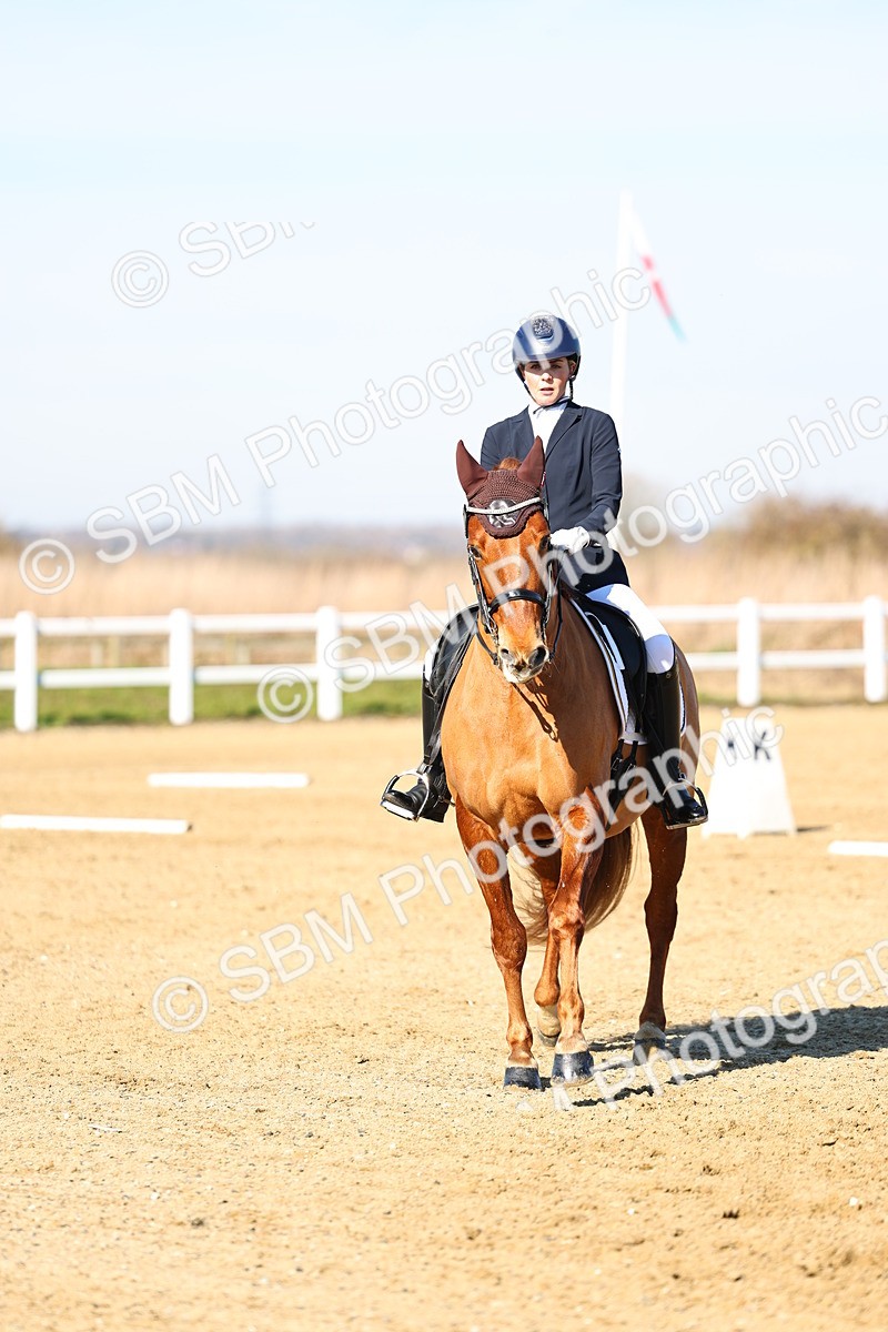 026A8528 - Class 2-6-5-4 - Paso Doble-Sevilla-Golega-Novato