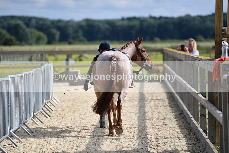 WJ5_7819 - Time 16:40 to 16:55