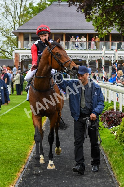 180523-Race 3-Croupier-0420 - Race 3 3.00pm Sky Bet Hambleton Handicap