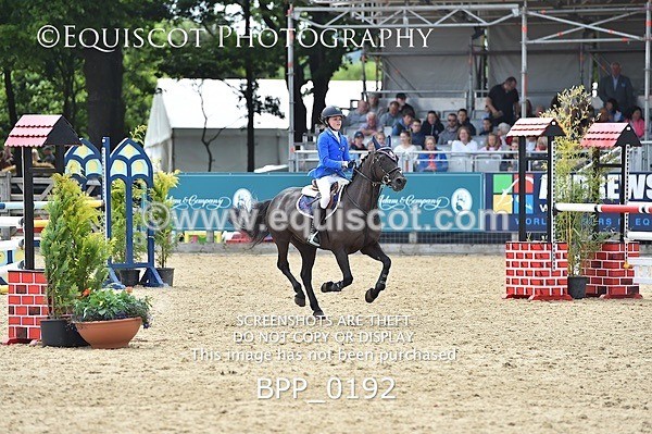 BPP_0192 - RHS 2019 Selection - *Just some random spectator shots so Lucky Dip if you are there!
