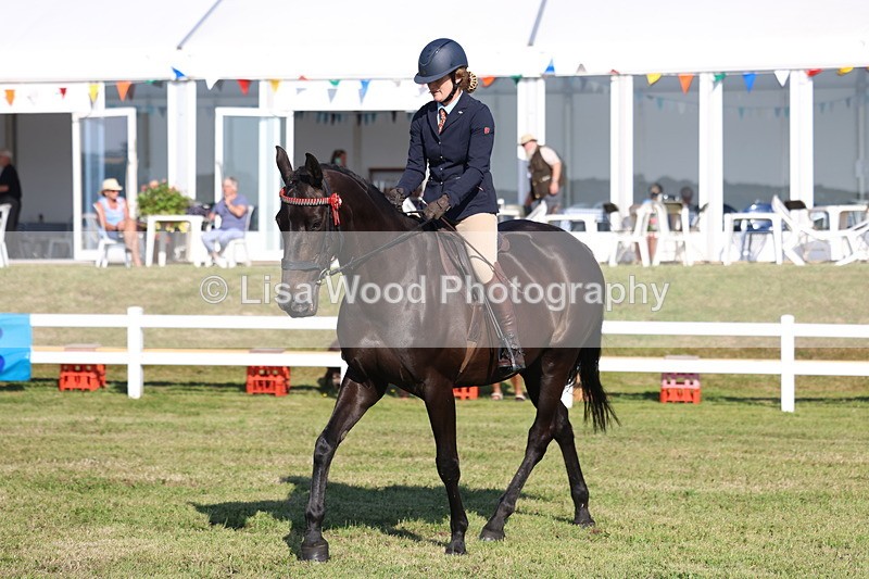 3E7A5598 - Class 2: Rising Star Large Hack/Riding Horse