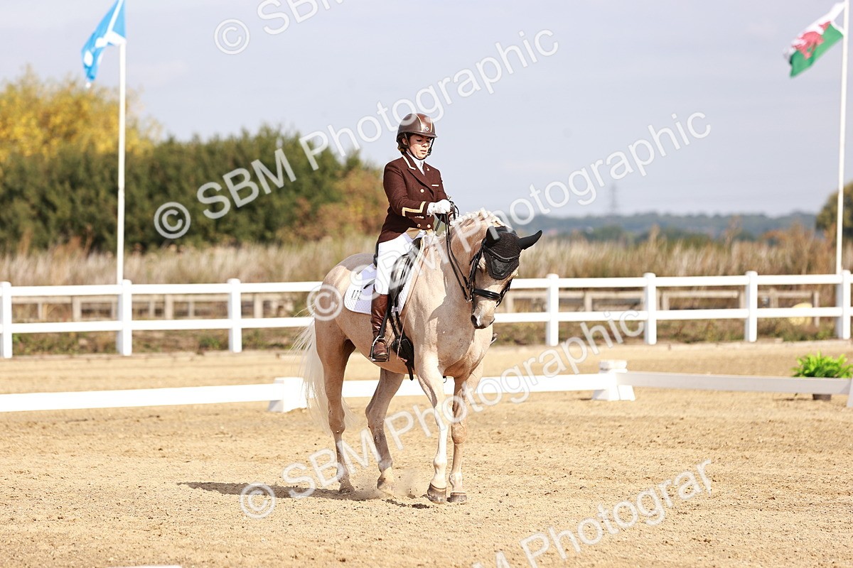 SBM_017009 - Class 10 - Medium 6