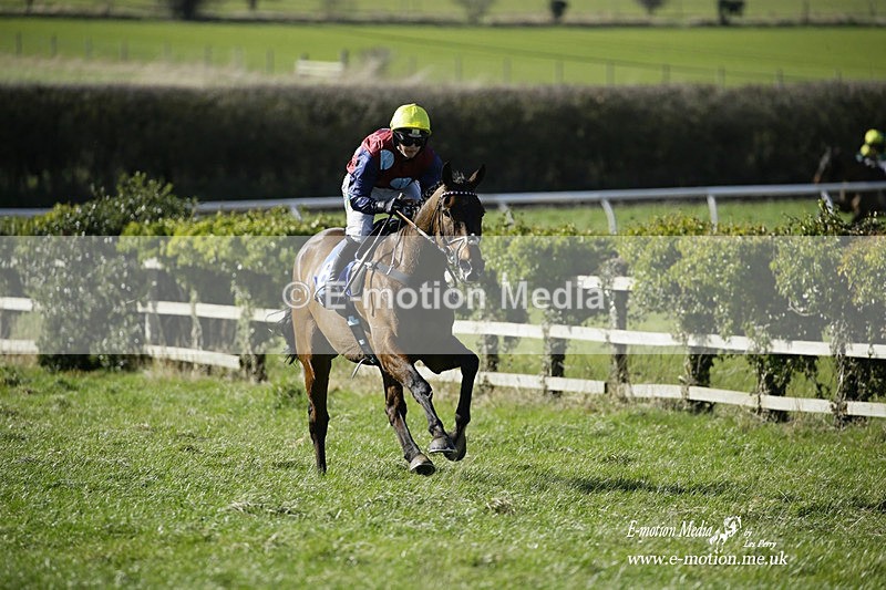 PtP 260222 257 - Kingston Blount Racing Club Point-to-Point 26/02/22