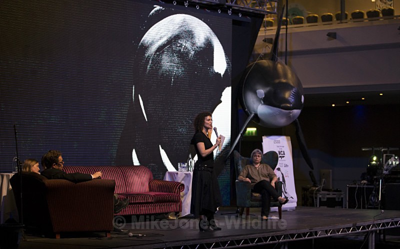 'BLACKFISH' Images from the evening event at Whalefest in Brighton BF1 - ' BLACKFISH ' Images from the evening event at Whalefest 2014 in Brighton