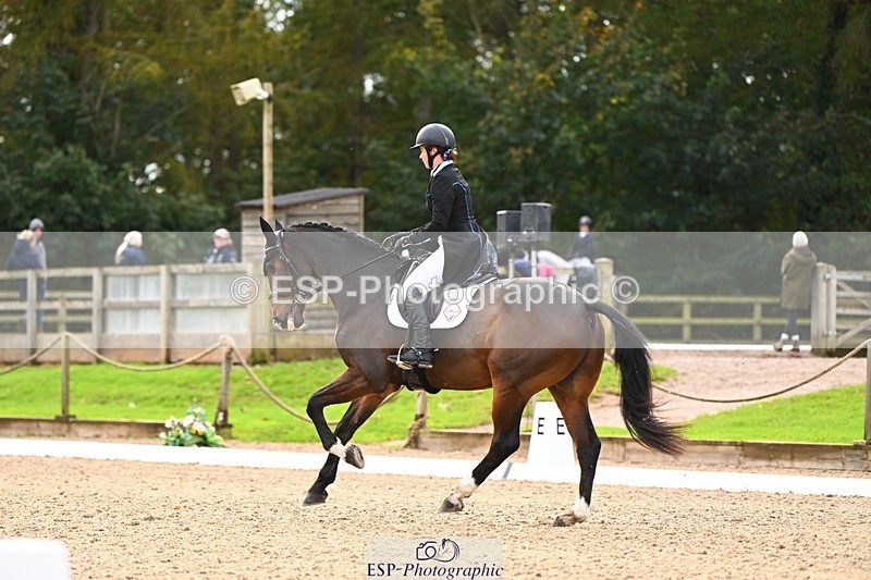 231021-134624-17718 - 350-DAZZLING.SPRINGTIME-Alice.Kneen-DR