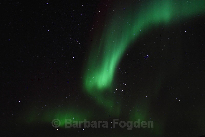 Northern light in Adventdalen 4907 - Polar night