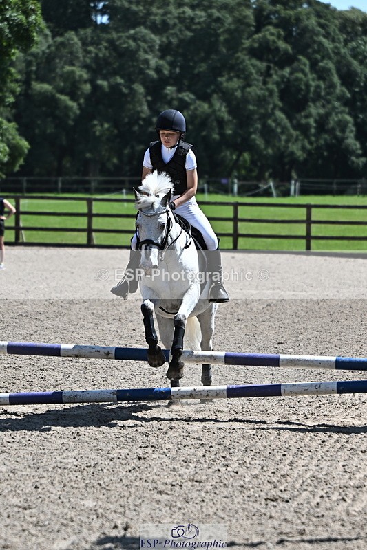 240729B-121829-02632 - Showjumping Competition