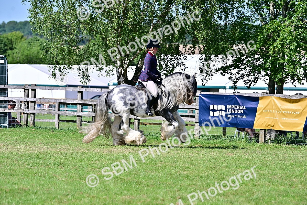 SBM_19364 - Class 101-102 - BSPS LIHS Performance Coloured Horse/Pony
