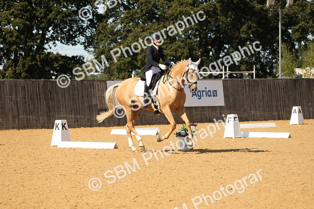 SBM_22314 - D17 - Grand Tour Championship - Novice 27