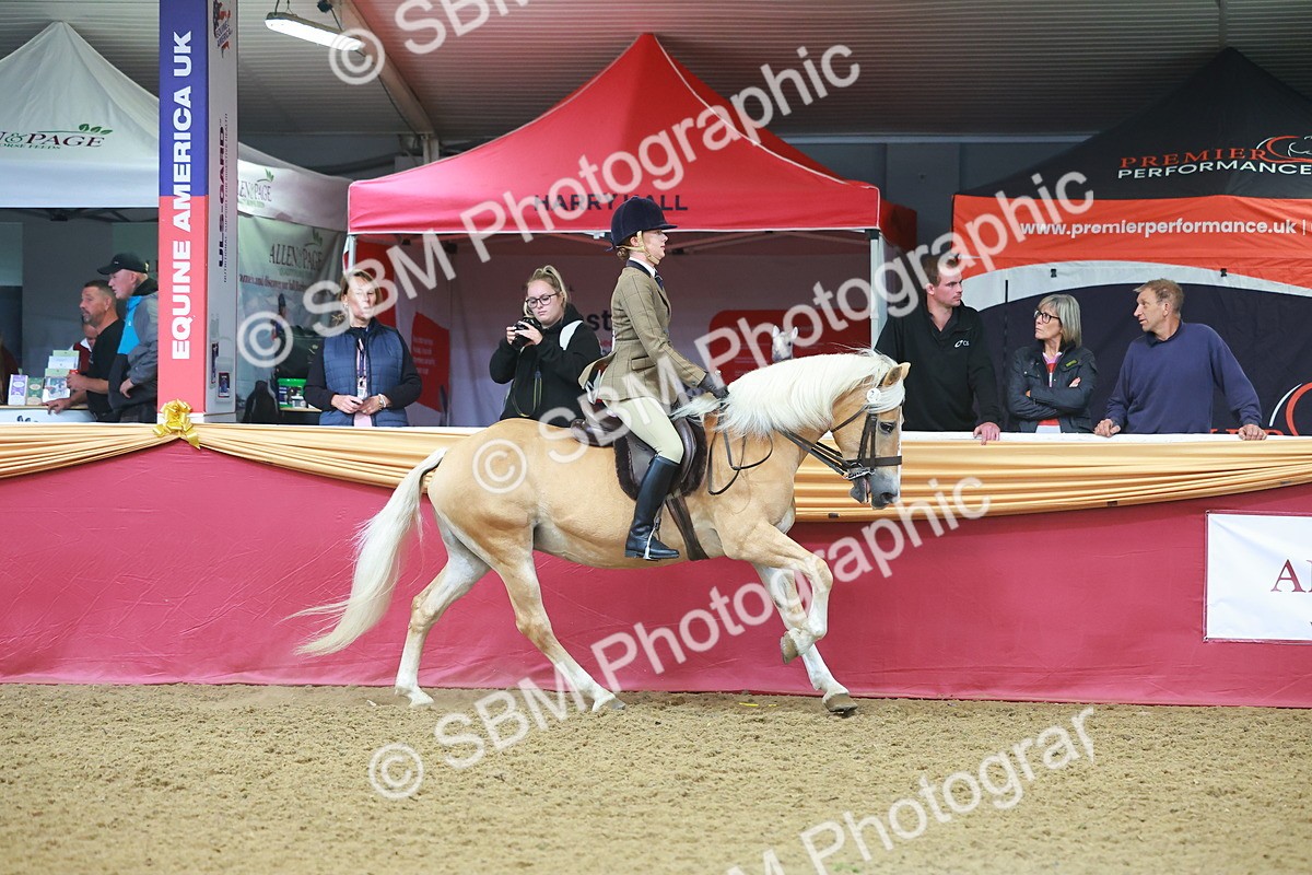 SBM_09648 - Class 102 - HOYS Veteran Qualifier - Ridden Veteran