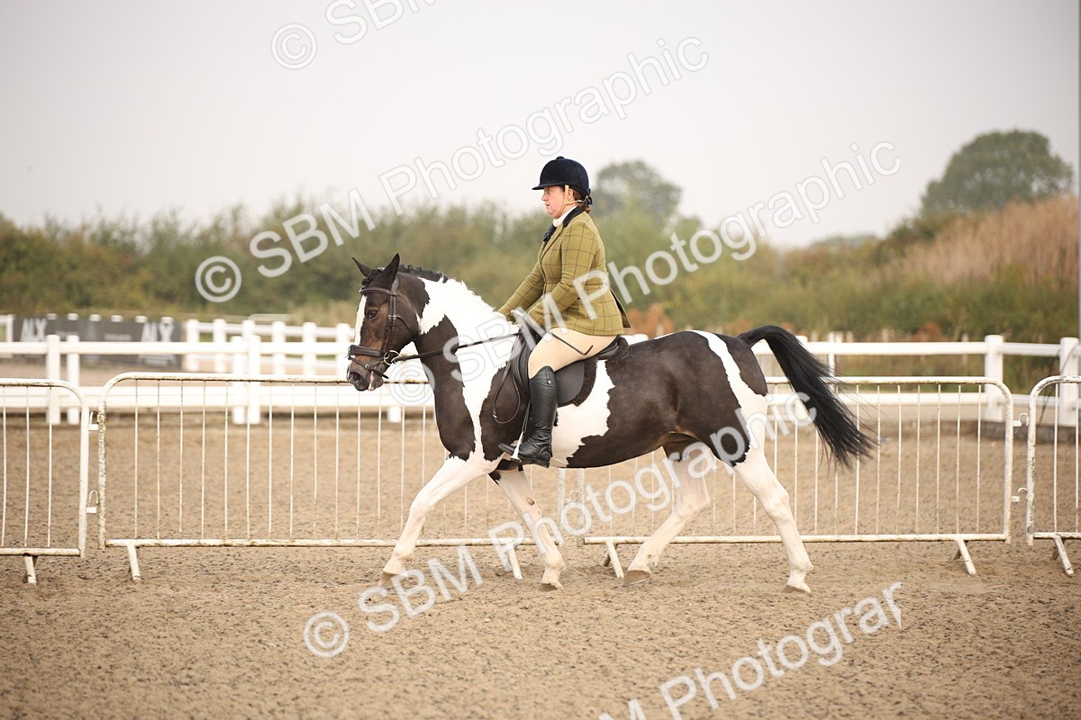 SBM_09701 - Class 401 Riding Club Pony