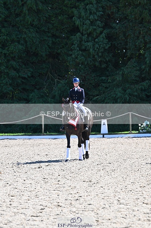 240811-153814-06694 - Inter I Gold