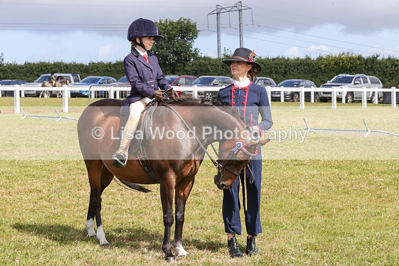 1X9A3665 - Class 29: Lead Rein SP/SHP