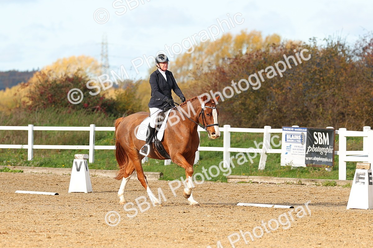 SBM_000769 - Novice 4