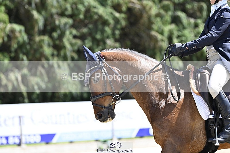 250522A-142743-04377 - D-411-Louisa.Lockwood-JARSON