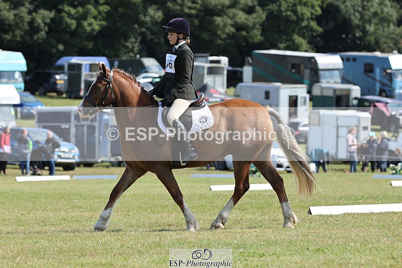 240824X-114724-26978_D80 Section G and H 1100 to 1200 - 779-966-3111