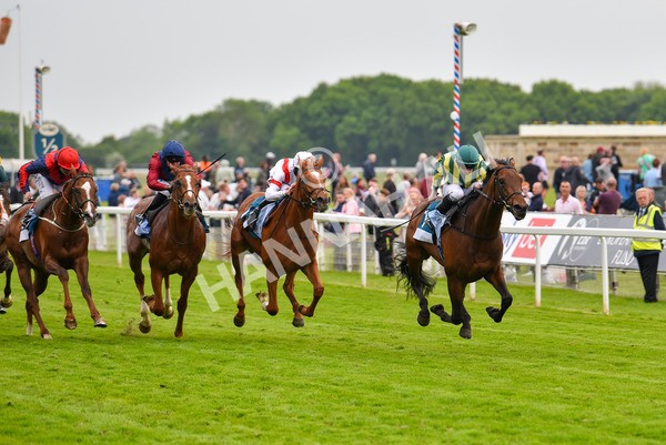 180523-Race 7-Chesspiece-9921 - Race 7 5.20pm Collective Green Energy Handicap