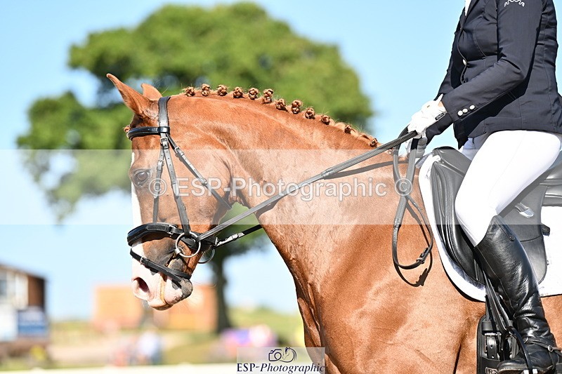 240816A-162514-06183 - 241-Caroline.Toman-D-Pandora.Ramall