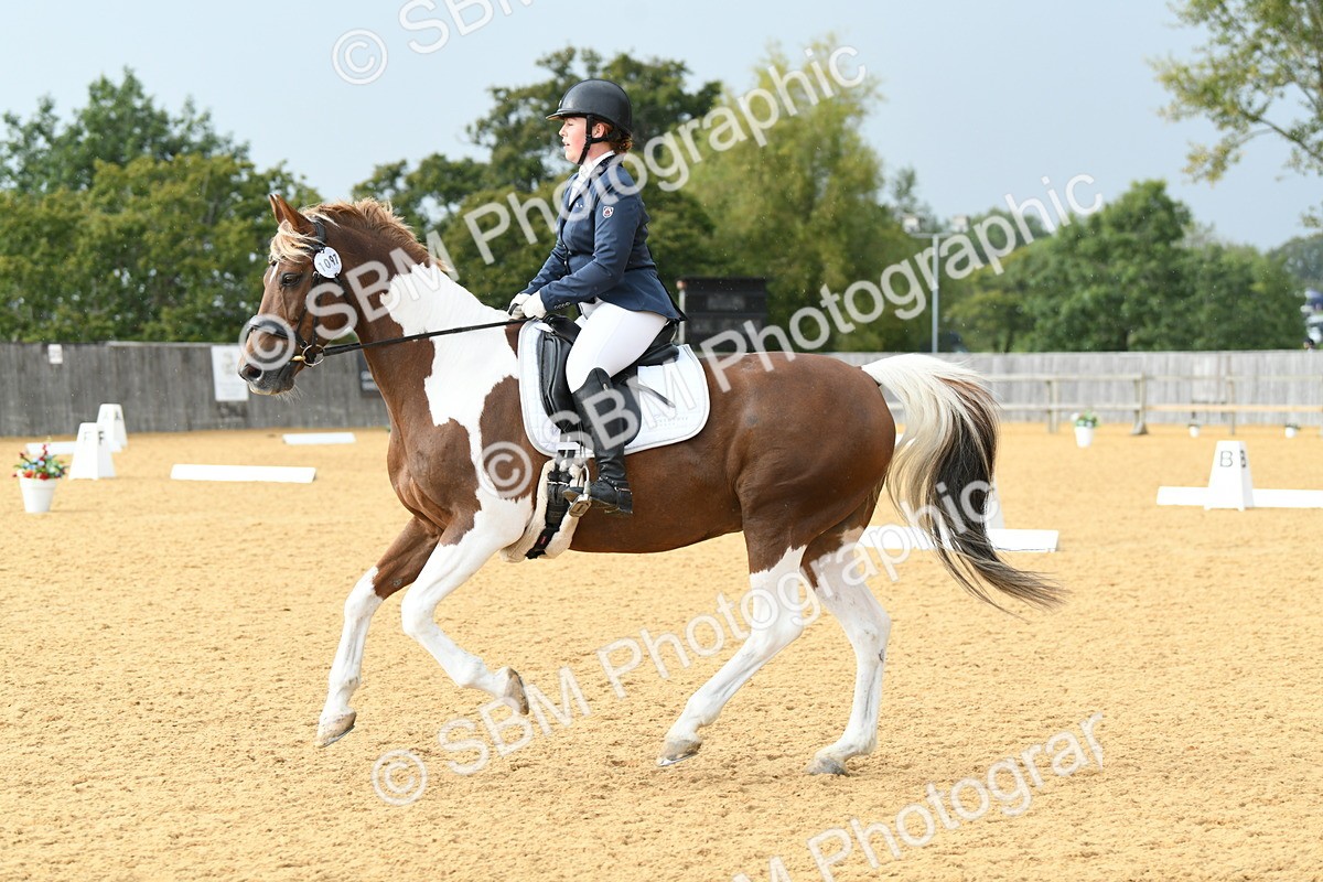 SBM_11090 - D28 Elementary Taster Elementary 42