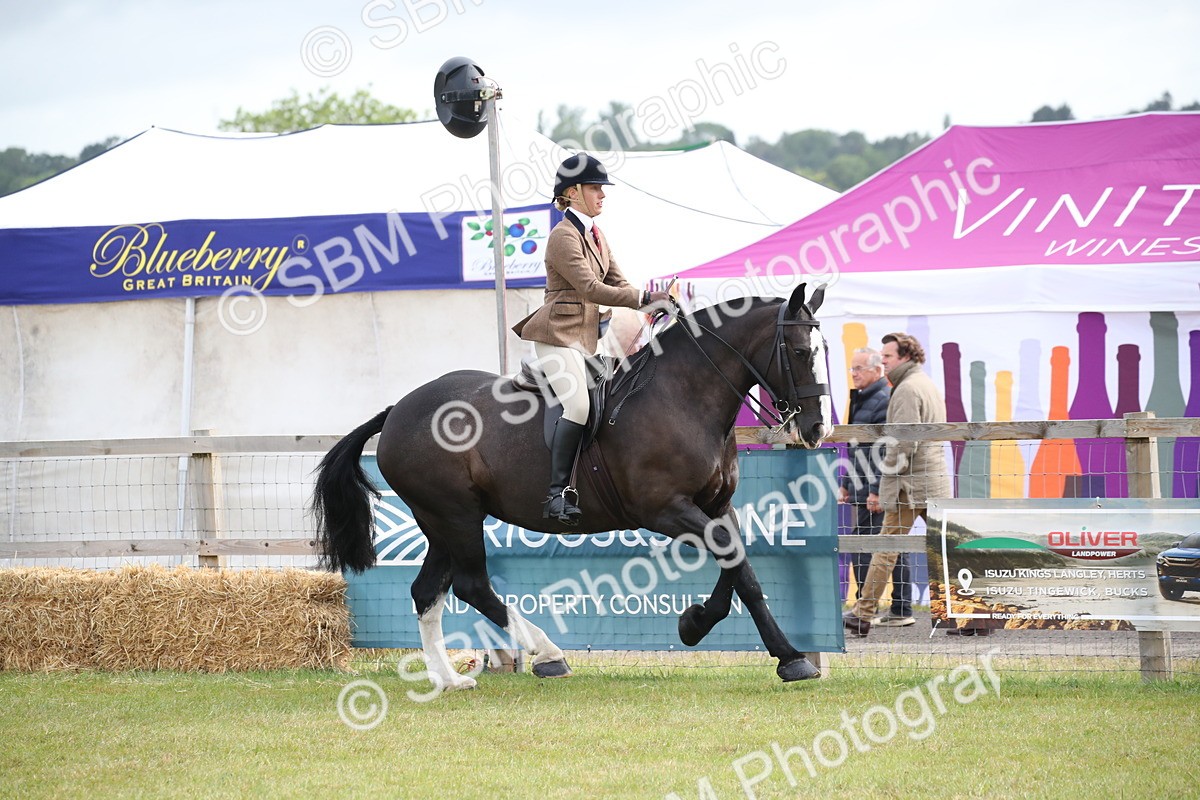SBM_11218 - Class 92-93 - LIHS BSHA Rising Star Cobs