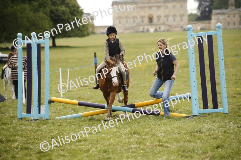 20250517-0959 - Class 2 - 30cm Off Lead Rein