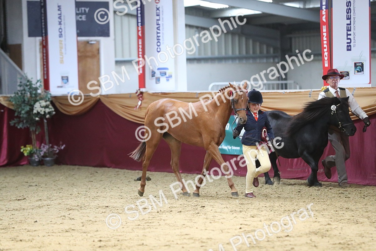 SBM_06502 - Class 9R Regional- IH Pre Vet