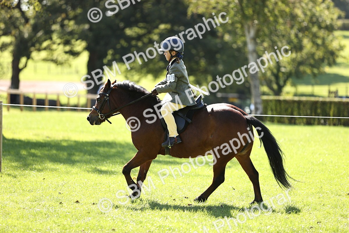 SBM_19341 - S3 - TSR Ridden Pony Showing
