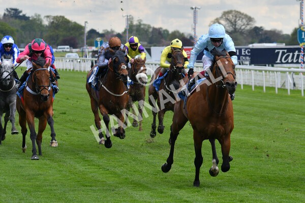 yr12052021r3-19 - Race 3 2.40pm Duke of York Clipper Logistics Stakes