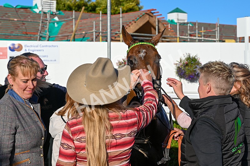 100924-Race 7-Desert Dream-4641 - Race 7