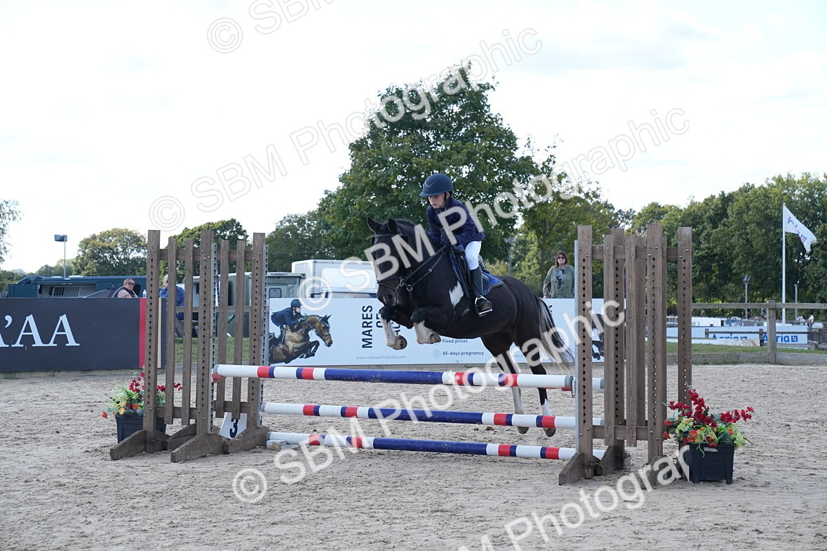 SBM_25956 - J61 - Clear Round 75cm & 85cm