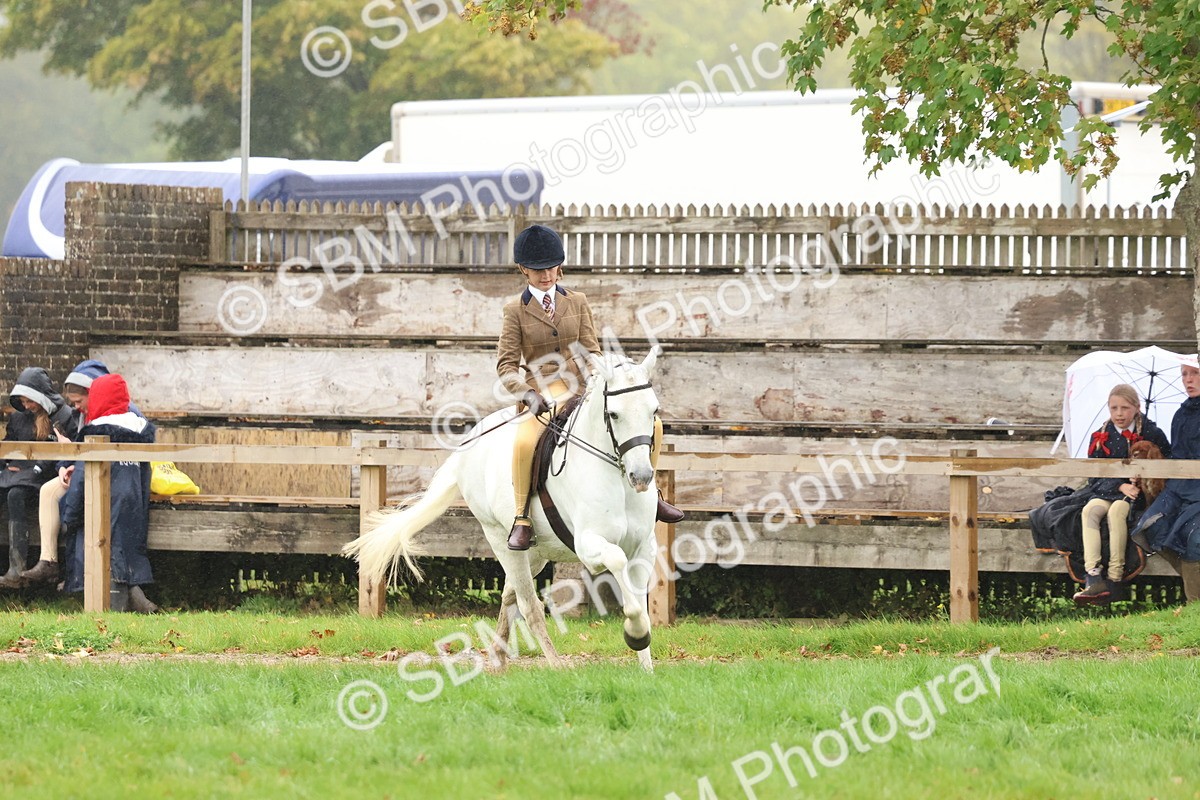 SBM_73049 - S63 Show Pony & Show Hunter Pony Ridden