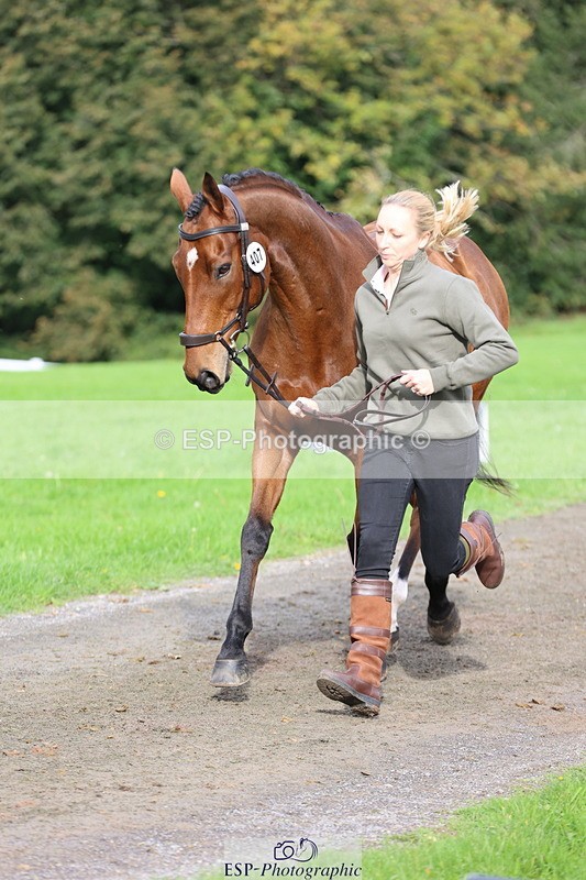 251026A-115943-25811 - F-407-Helen.Jackson