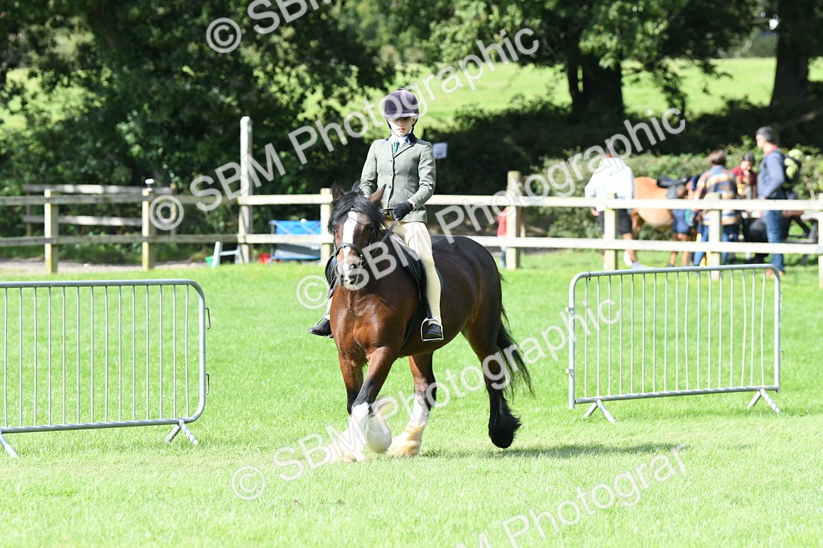 SBM_46911 - S12 - Family Horse & Pony
