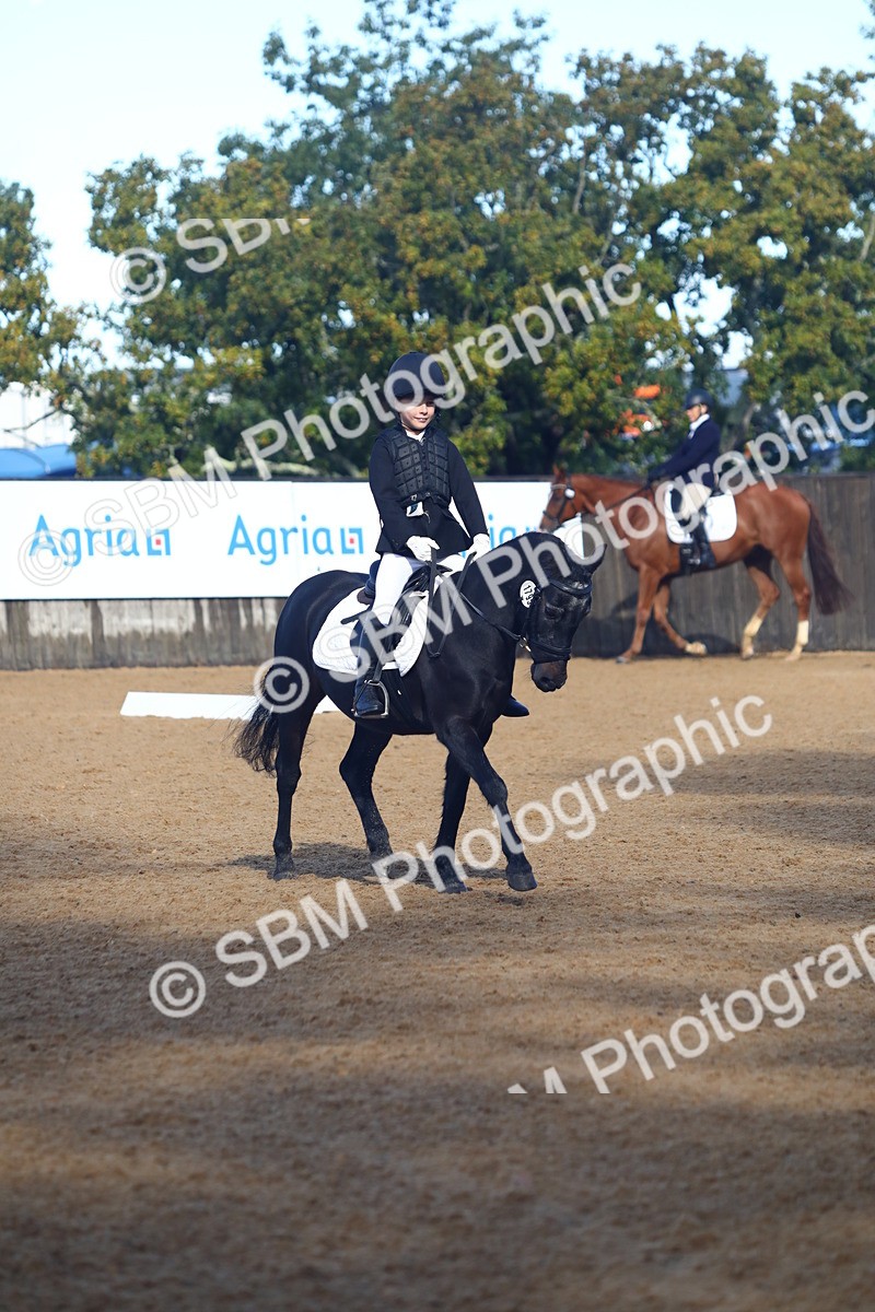 SBM_38903 - D21 - Junior Championship Intro 1