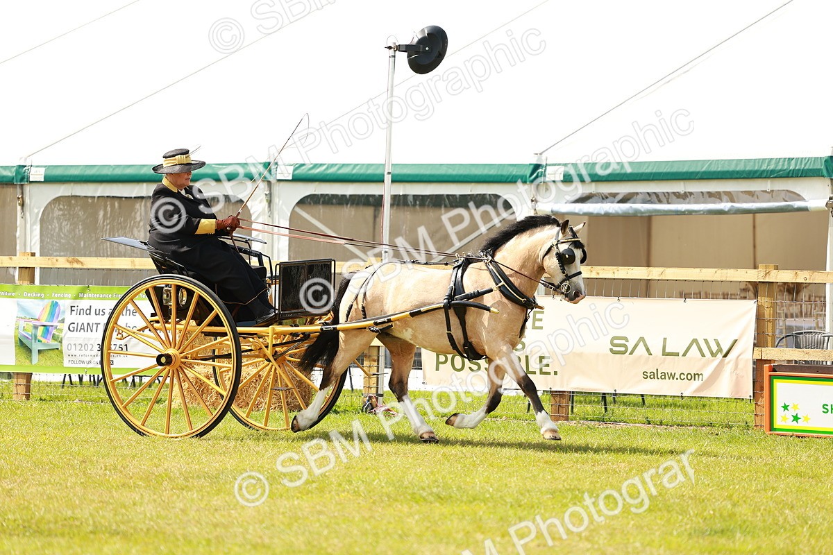 SBM_02710 - Class 2-4 - HOYS Private Driving