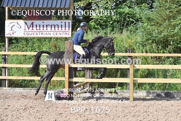 BPP_1675 - DERBY CLASS 4 - 50CM