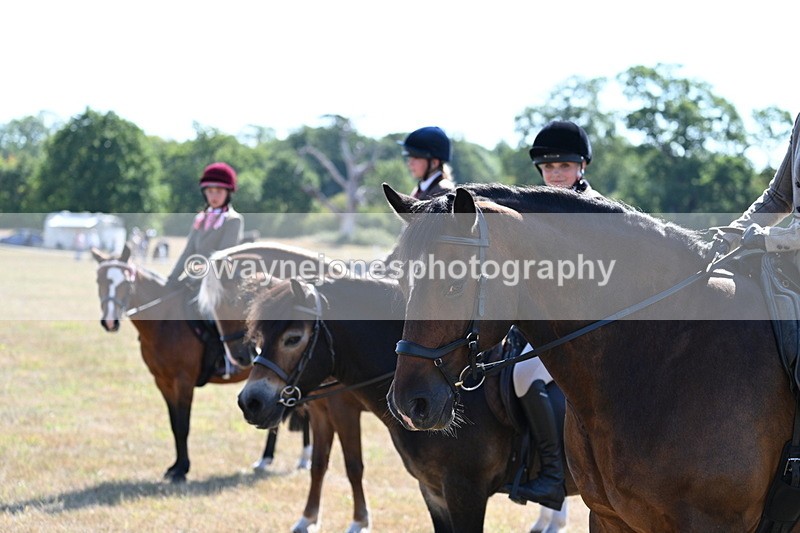 WJ7_3792 - Class 9 Mountain & Moorland Ridden