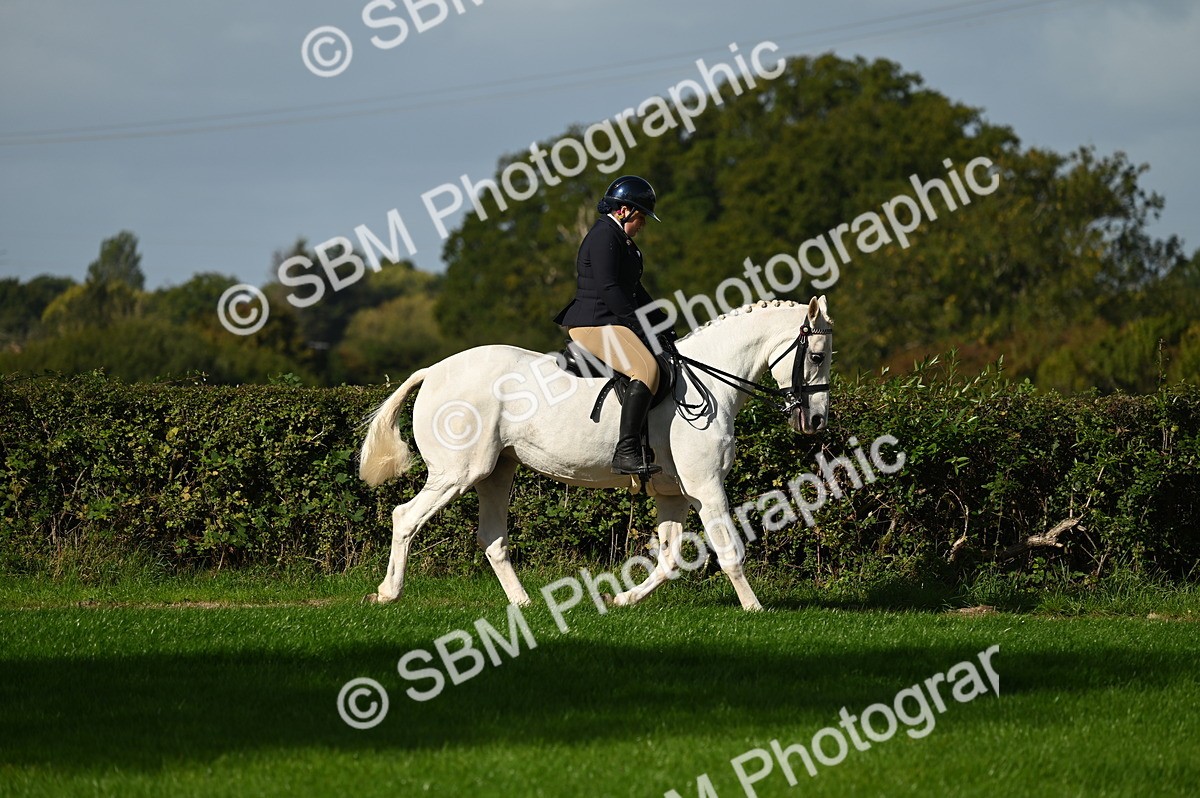 SBM_01348 - S2 - TSR Ridden Horse Showing
