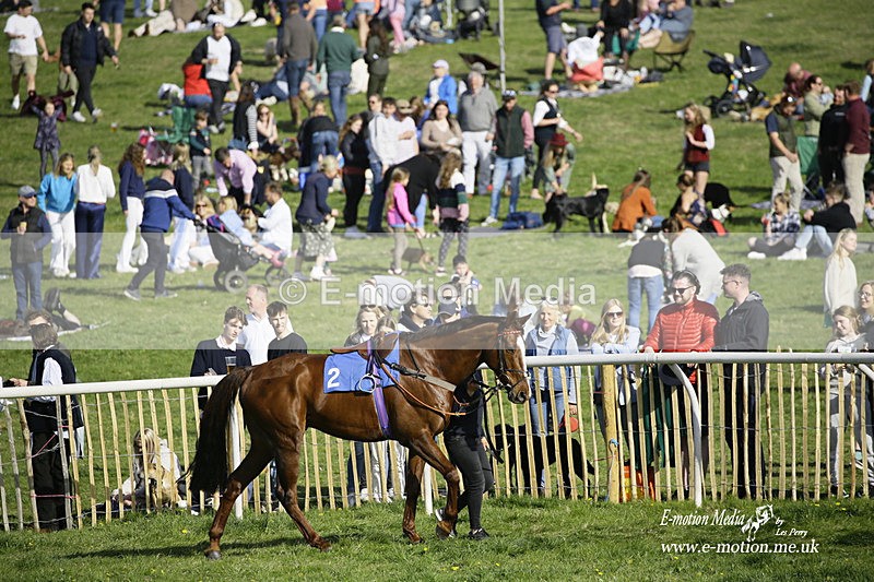 PtP 180422 304 - Old Berkshire PtP Lockinge 18/04/22