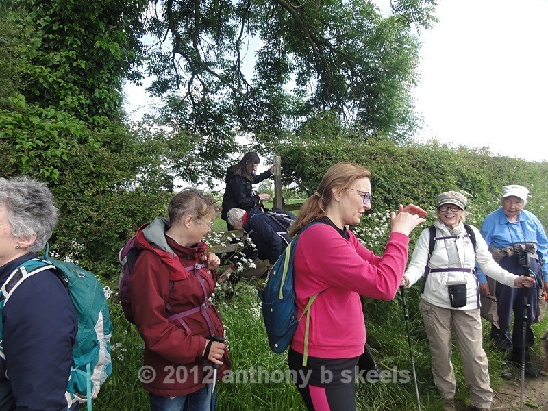 056 Over the stile with a moment of entertainment - York Minster Walkers Collection 2024
