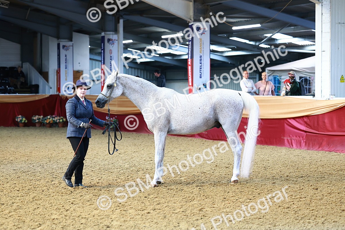 SBM_22187 - Class 902 - Supreme Final - IH Diamond