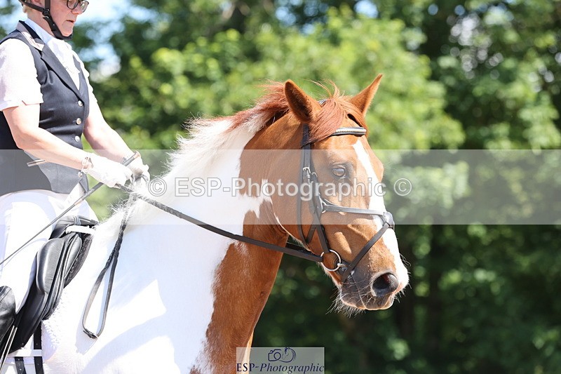 240621A-103758-00223 - Cls 6 BD Music Novice