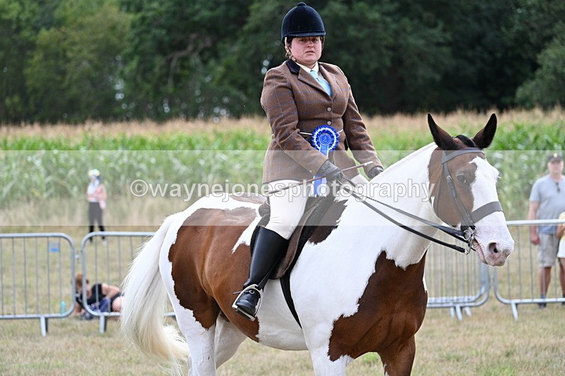WJ7_5686 - Class 12 Ridden Cob