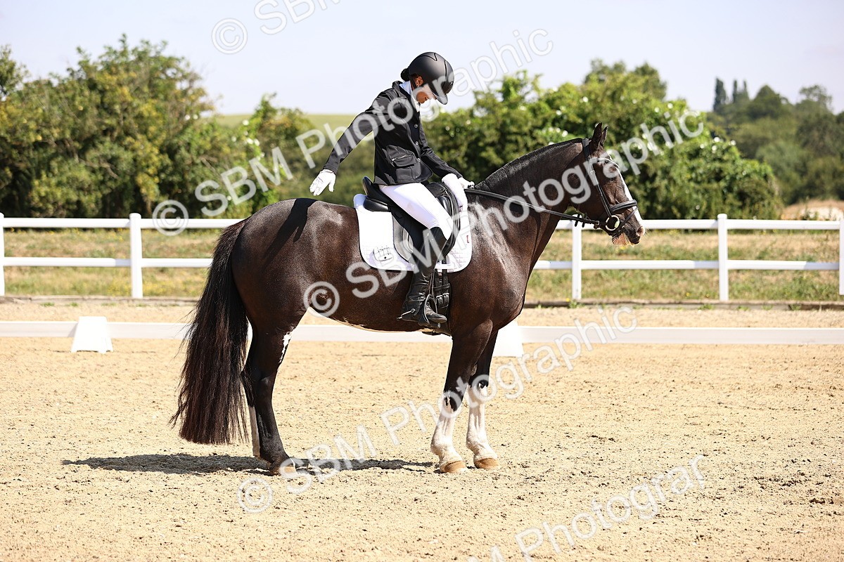 SBM_003649 - Intro 2