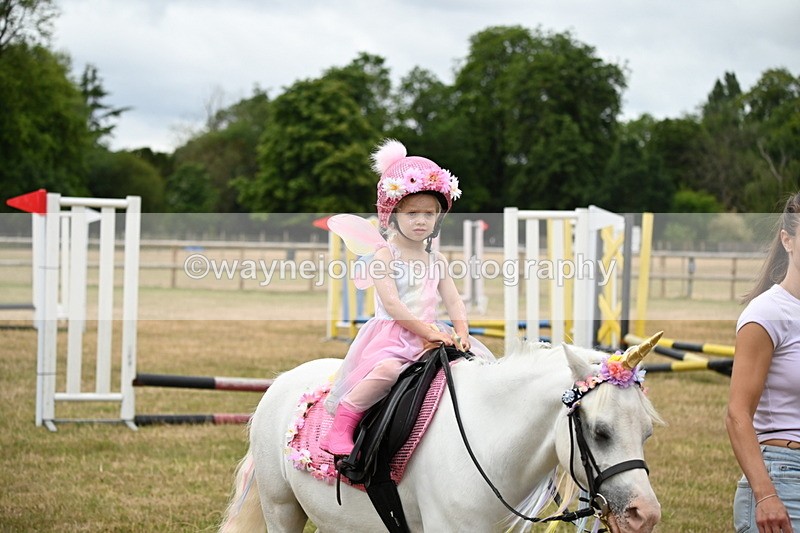 WJ6_4670 - Class 11 Fancy Dress