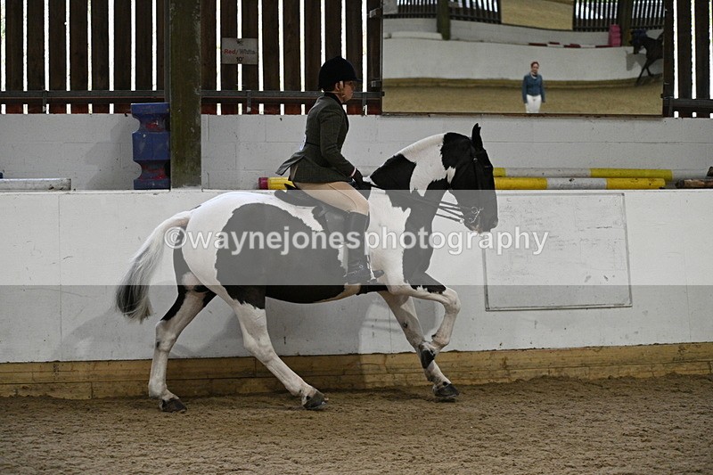 WJ7_3835 - Class 17 Ridden Cob