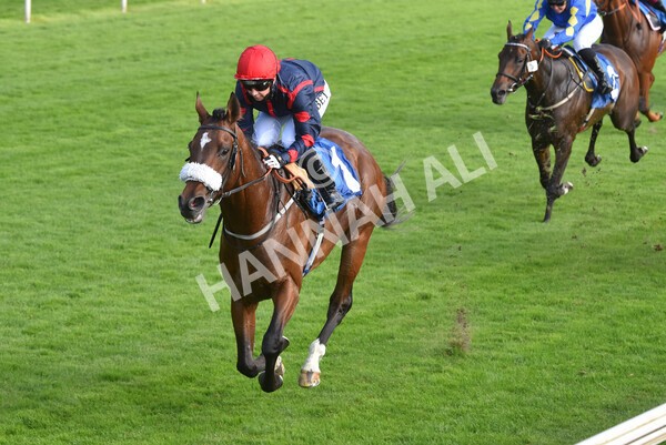 yr23072021r1-31 - Race 1 6.00pm John Wright Electrical Silk Series Lady Riders Handicap