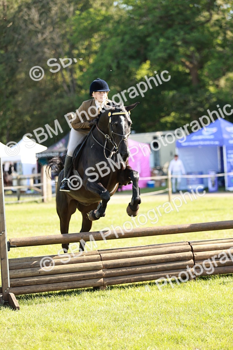 SBM_19161 - Class 115-116 - LIHS BSHA Rising Star Working Hunter & Show Horse
