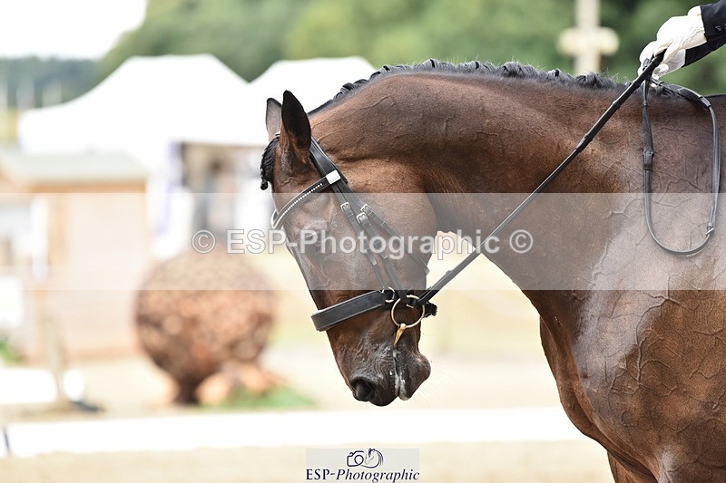 140110A-011242-10856 - 132-Jodie.Coombes-Tattygare.Last.Delight