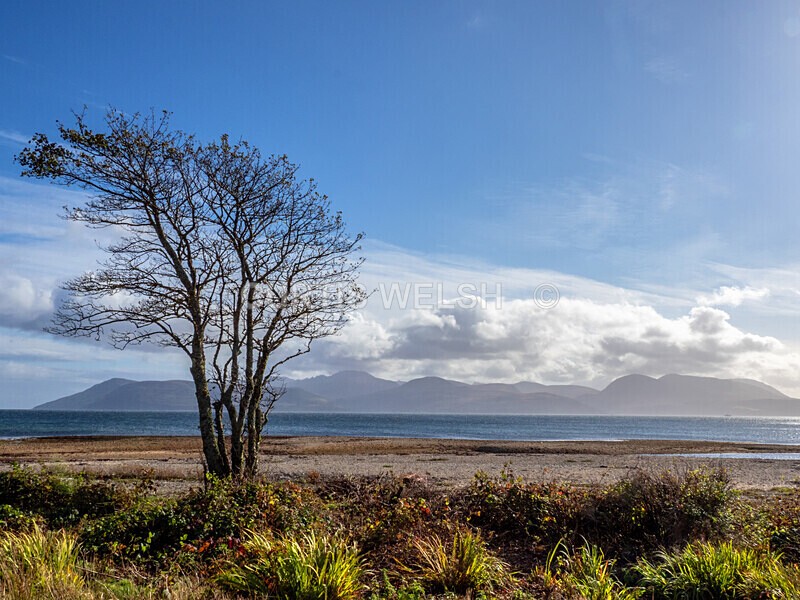 PA120192 - Argyll